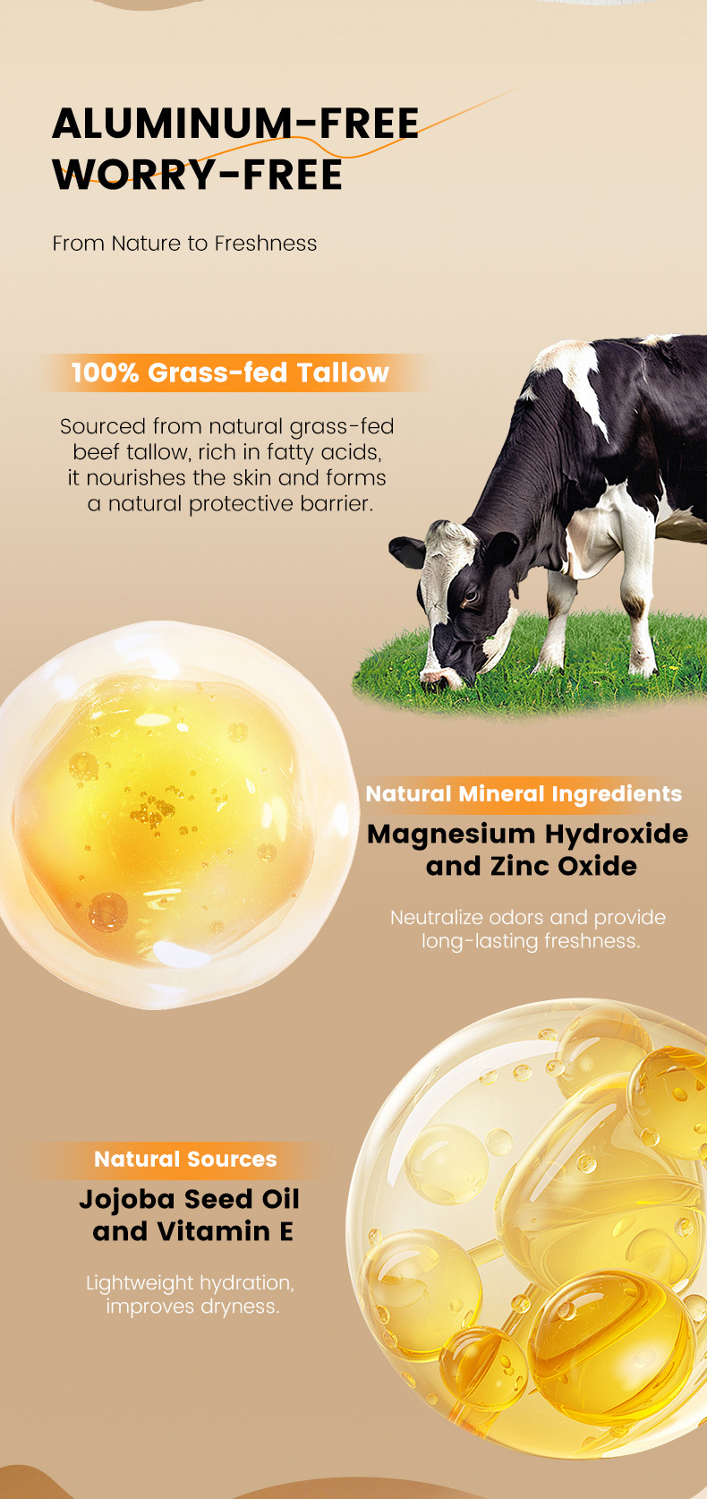 Details of Beef Tallow Deodorizing Stick