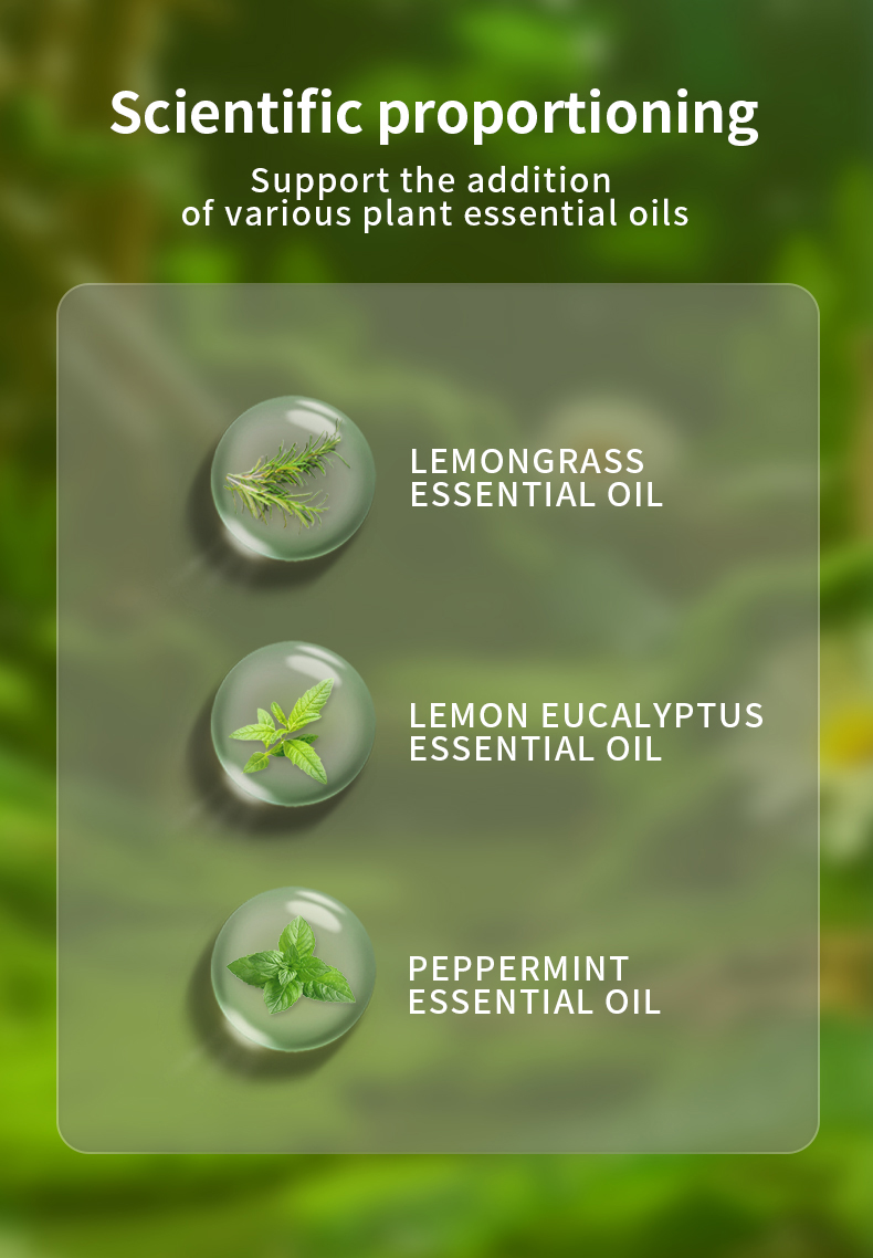 Details of Plant Essential Oil DIY Bracelet