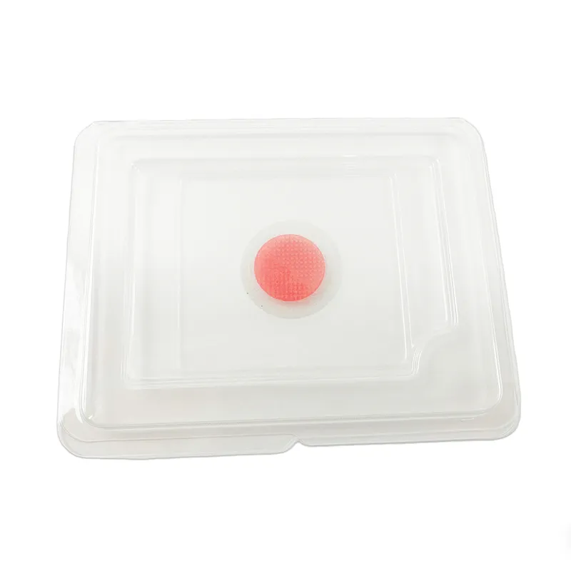 Microneedle Sleep Patch